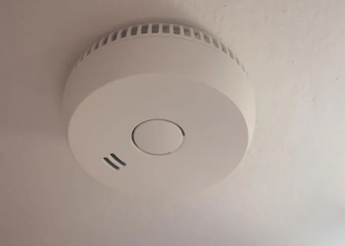 Silver Delijorgji Apartman